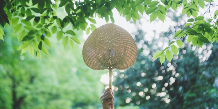 当前节气